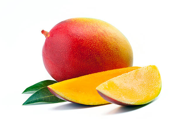 Mangue
